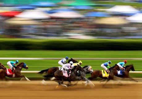analisar corrida cavalos
