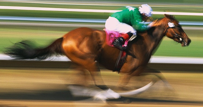 corrida de cavalos