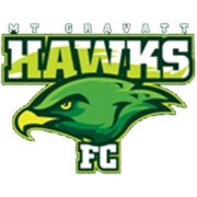 MT Gravatt Hawks logo