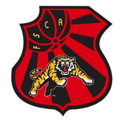 Flamengo-PE logo