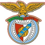 Nelas logo