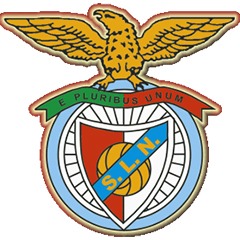 Nelas logo