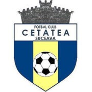Cetatea Suceava logo