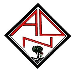 AD Nogueirense logo