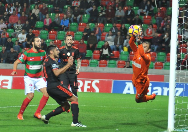 gottardi-maritimo
