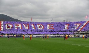 Davide 13